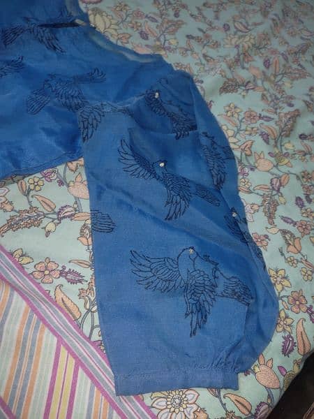 Blue organza embroidered skirt Shirt 7