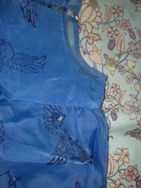 Blue organza embroidered skirt Shirt 8