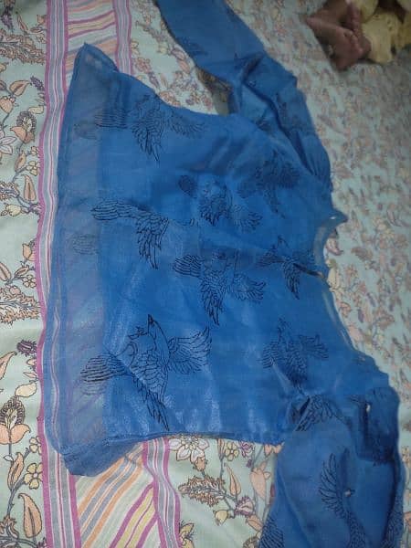 Blue organza embroidered skirt Shirt 9