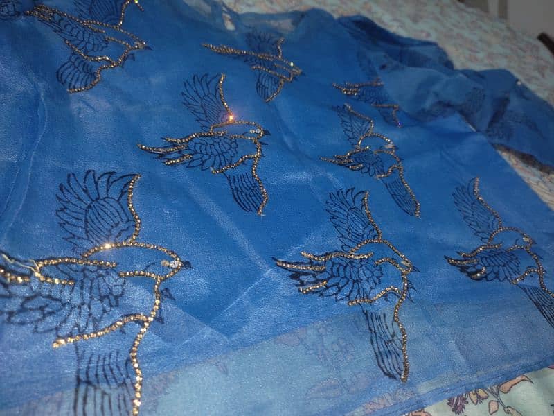 Blue organza embroidered skirt Shirt 11