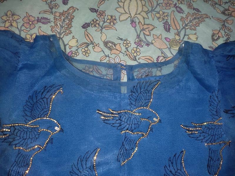 Blue organza embroidered skirt Shirt 12