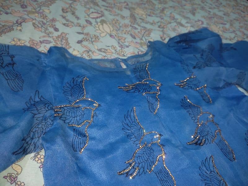 Blue organza embroidered skirt Shirt 13