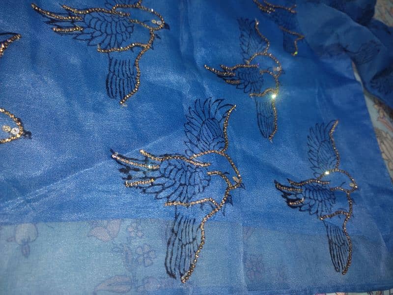 Blue organza embroidered skirt Shirt 14