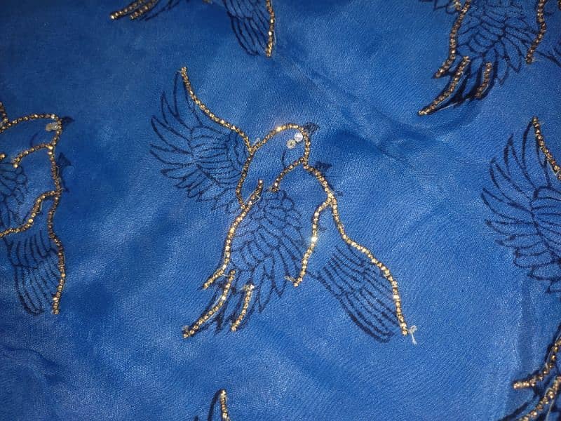 Blue organza embroidered skirt Shirt 15