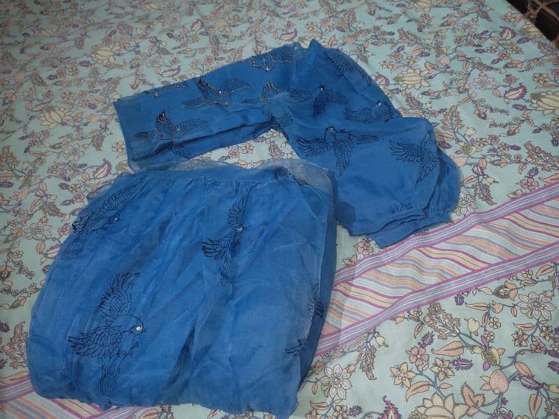 Blue organza embroidered skirt Shirt 18