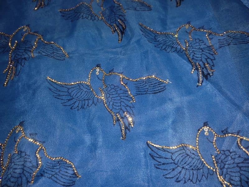 Blue organza embroidered skirt Shirt 19