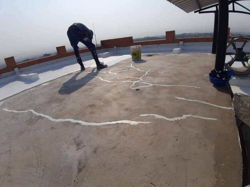 Roof Water Proofing/Water Tank Proofing #Termite Proofing 18