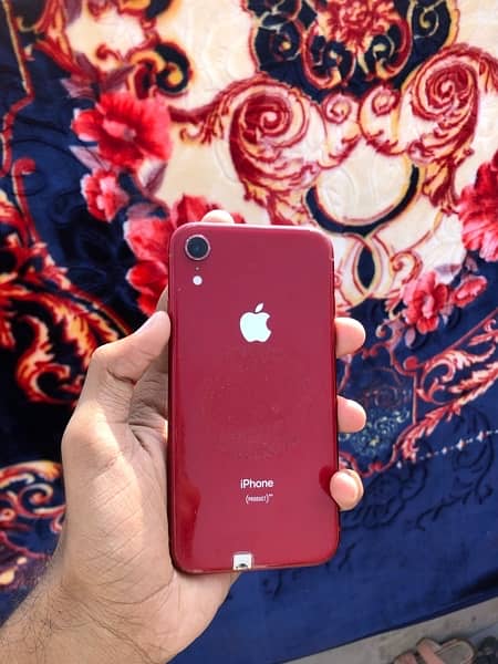 iphone XR (urgent sell) 5