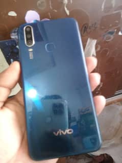 Vivo