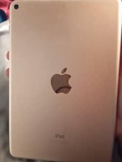 ipad mini 5 all ok