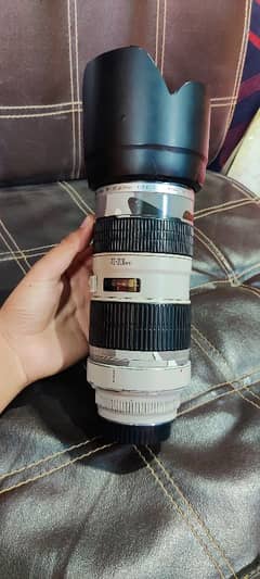 Canon 70-200mm f2.8 is ii Image Stabilizer