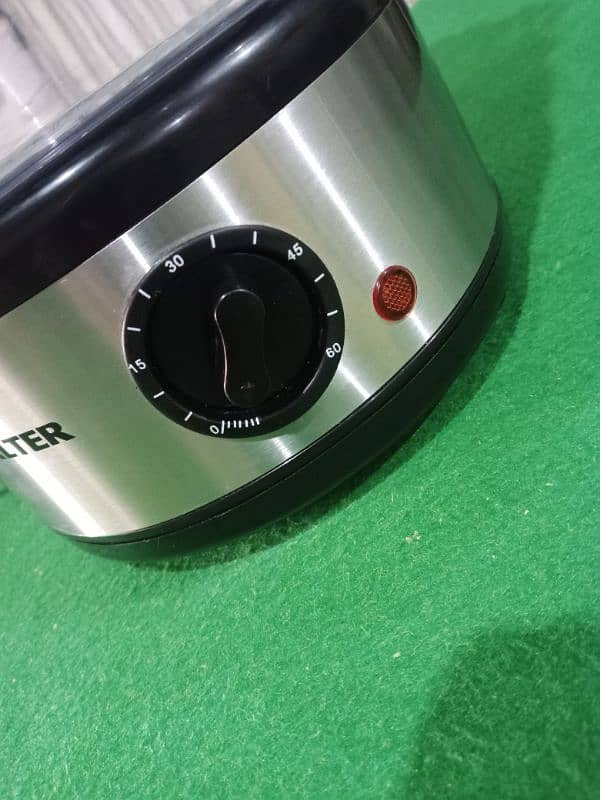 steam fryer 3