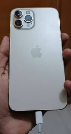 iphone 12 pro max dual pta