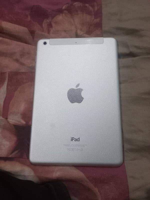 iPad mini 2 1