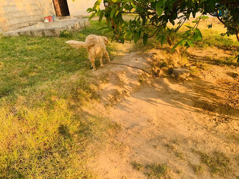 FarmHouse For Sale in Tumair Near Bahria Enclave 3