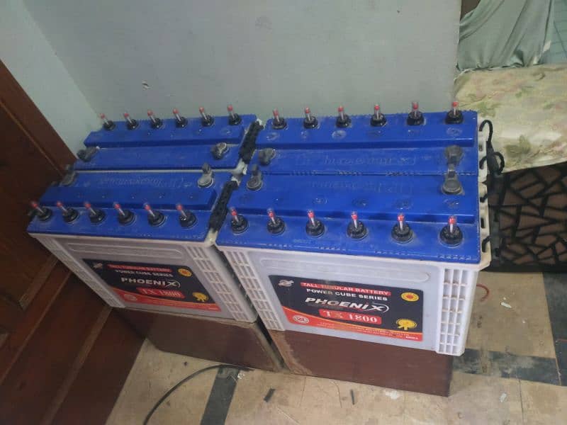 Phoenix Tall Tabular Batteries for sale 1