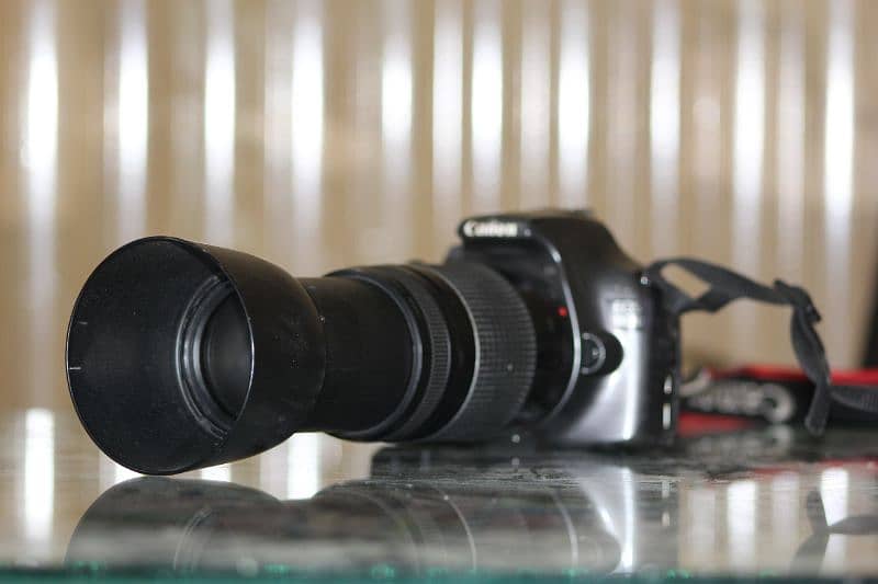 Canon 1100d with 75-300mm lens 4