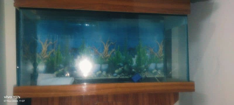 fish eqarium  5 month use large size 0