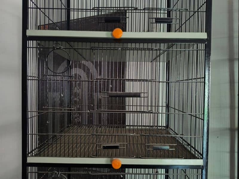 bird cages 1