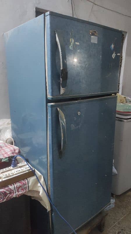 Medium Sized Refrigerator 1