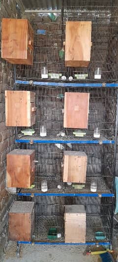 1cage Angel or folding cage front box option f sale