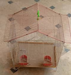 Cage hen, birds