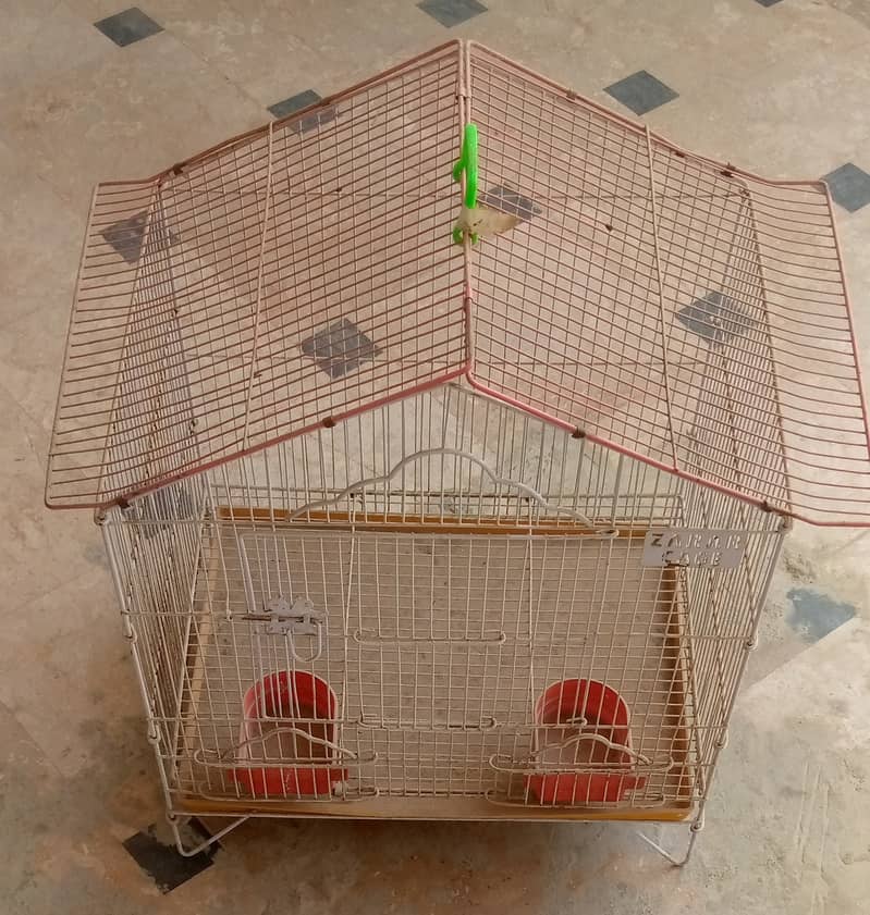 Cage hen, birds 0