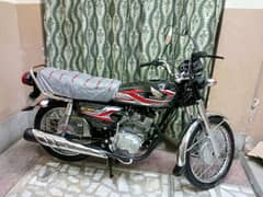 Honda CG 125 2024 Model Lush Condition