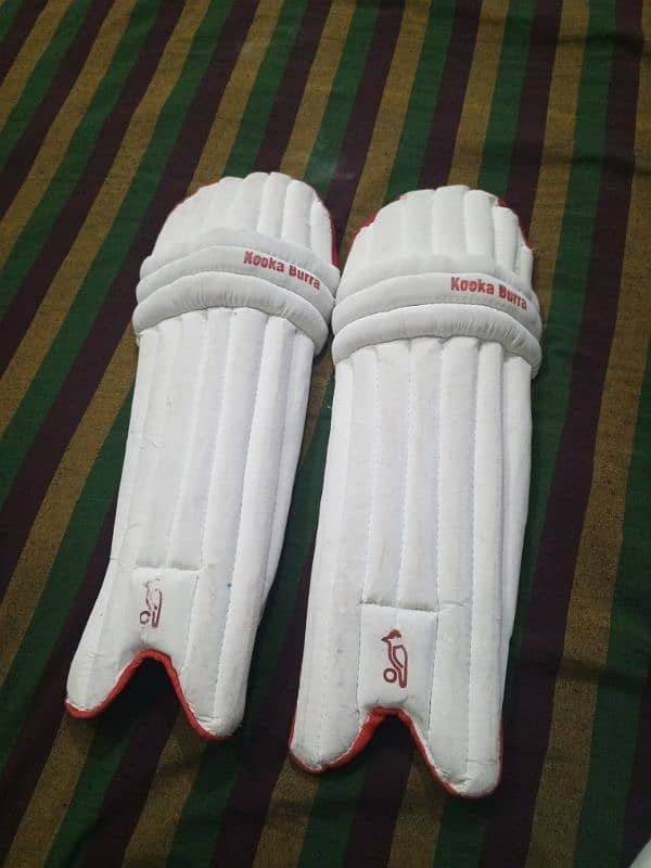 cricket batting pads 1