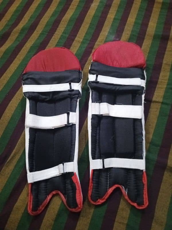 cricket batting pads 2