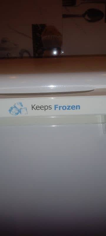 keeps frozen freezar 4