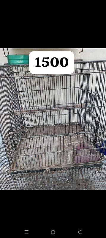 birds cages for sale 0