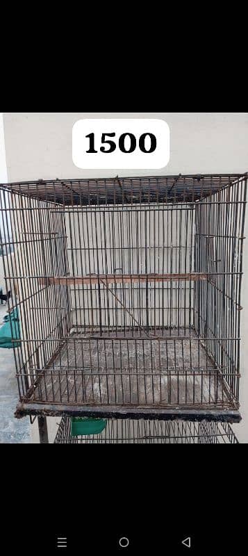 birds cages for sale 1