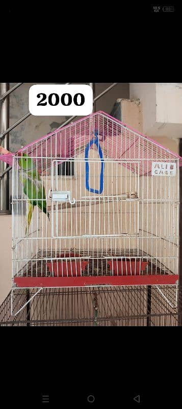 birds cages for sale 3