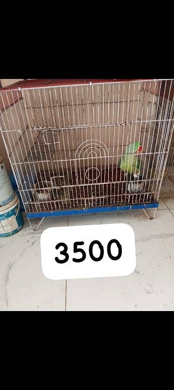 birds cages for sale 4