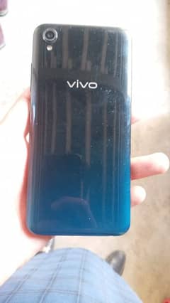 vivo