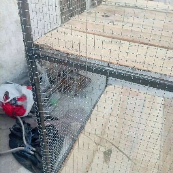 cage for sale 3