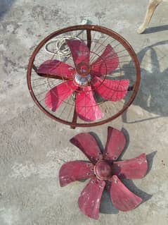 fan