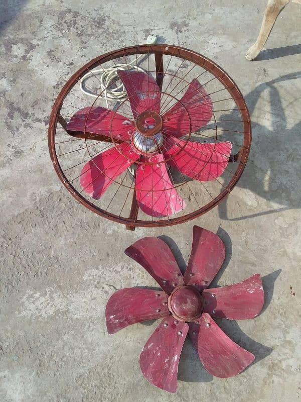 fan with frame 0