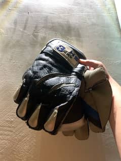 Wicket Keeping Gloves (3 star HS)