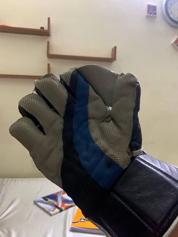 Wicket Keeping Gloves (3 star HS) 2