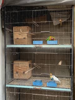 cage urgent for sale