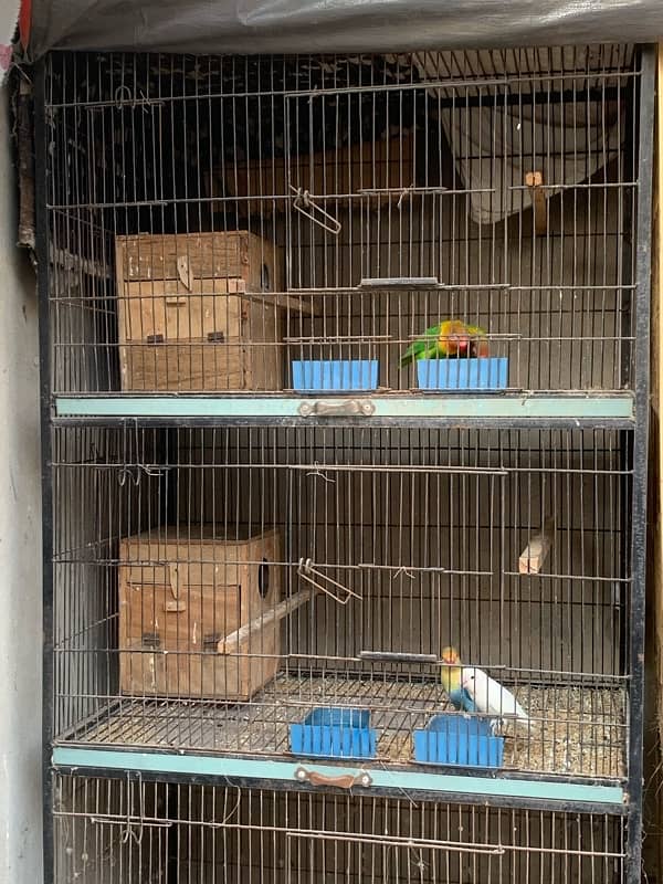 cage urgent for sale 0