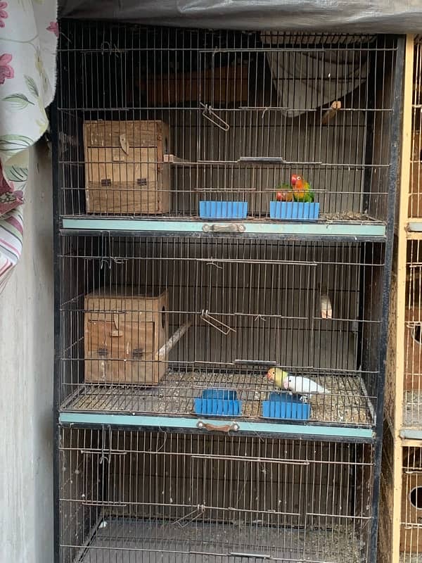 cage urgent for sale 1