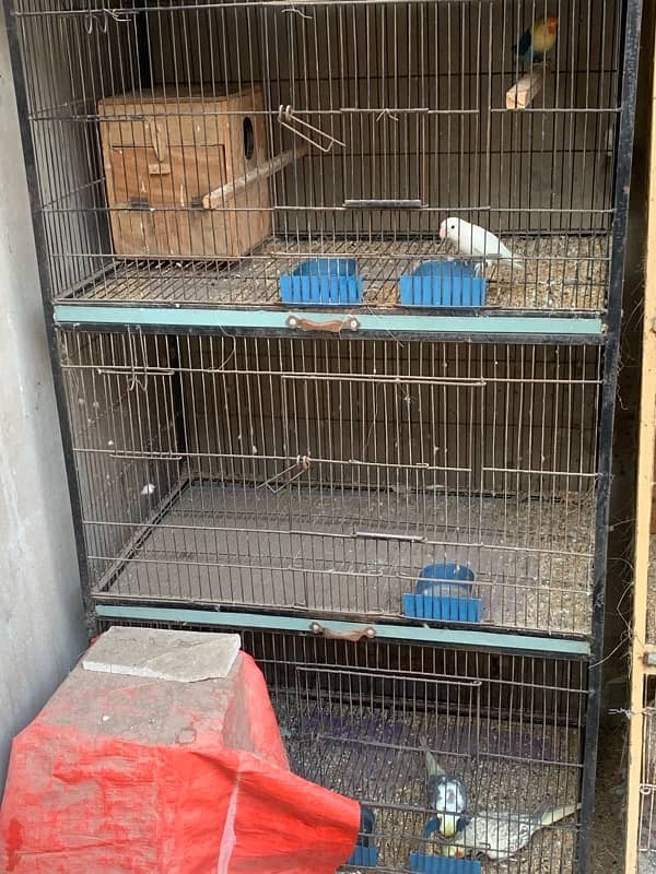 cage urgent for sale 2