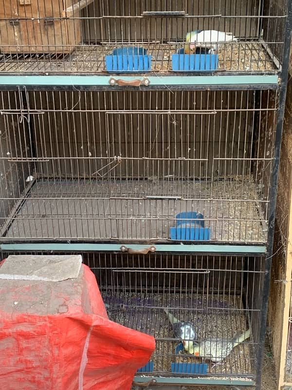 cage urgent for sale 3