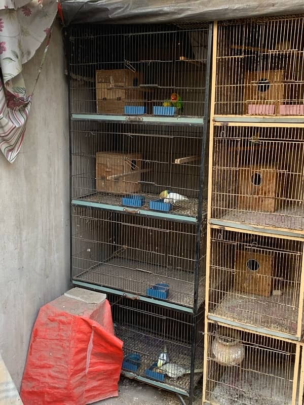 cage urgent for sale 4