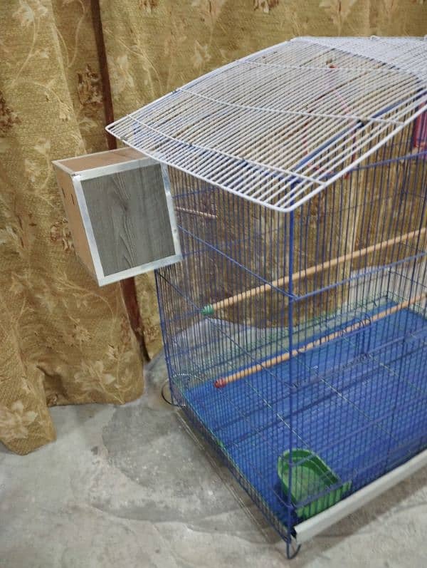 bird cage 2