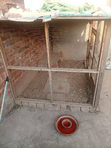 6x4 feet cage available for sale 1