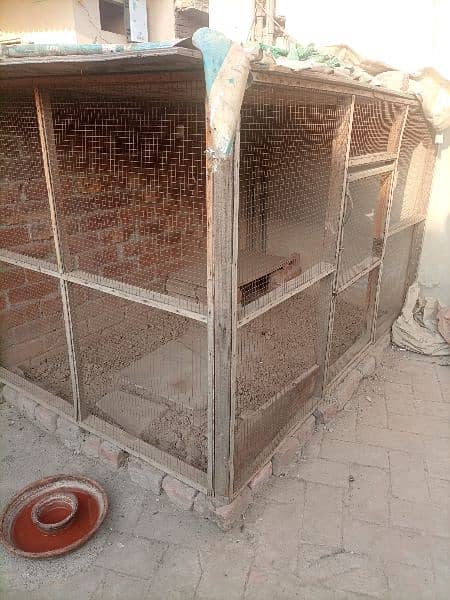 6x4 feet cage available for sale 2